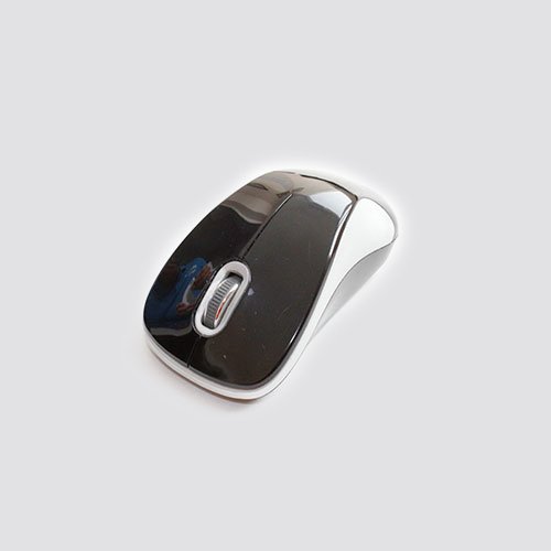 Mouse Trt-11 1 MG 2855 1
